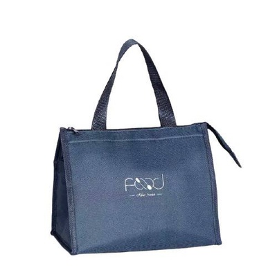 Ланч-сумка на молнии с ручками из водонепроницаемой ткани 25×16×21см для пикника; цвет Синий 6031600 фото